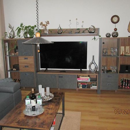 Zentrale-Ruhige Ferienwohnung Reichenbach im Vogtland Zewnętrze zdjęcie
