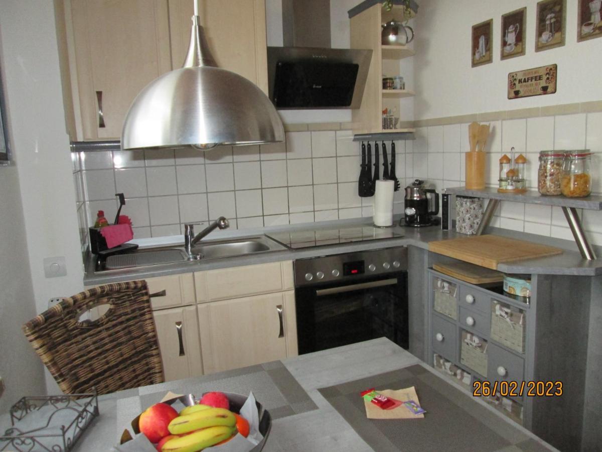 Zentrale-Ruhige Ferienwohnung Reichenbach im Vogtland Zewnętrze zdjęcie